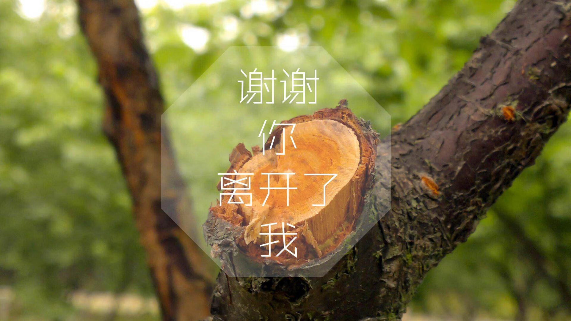 中超比赛数据录入标准化研究，中超技术数据统计