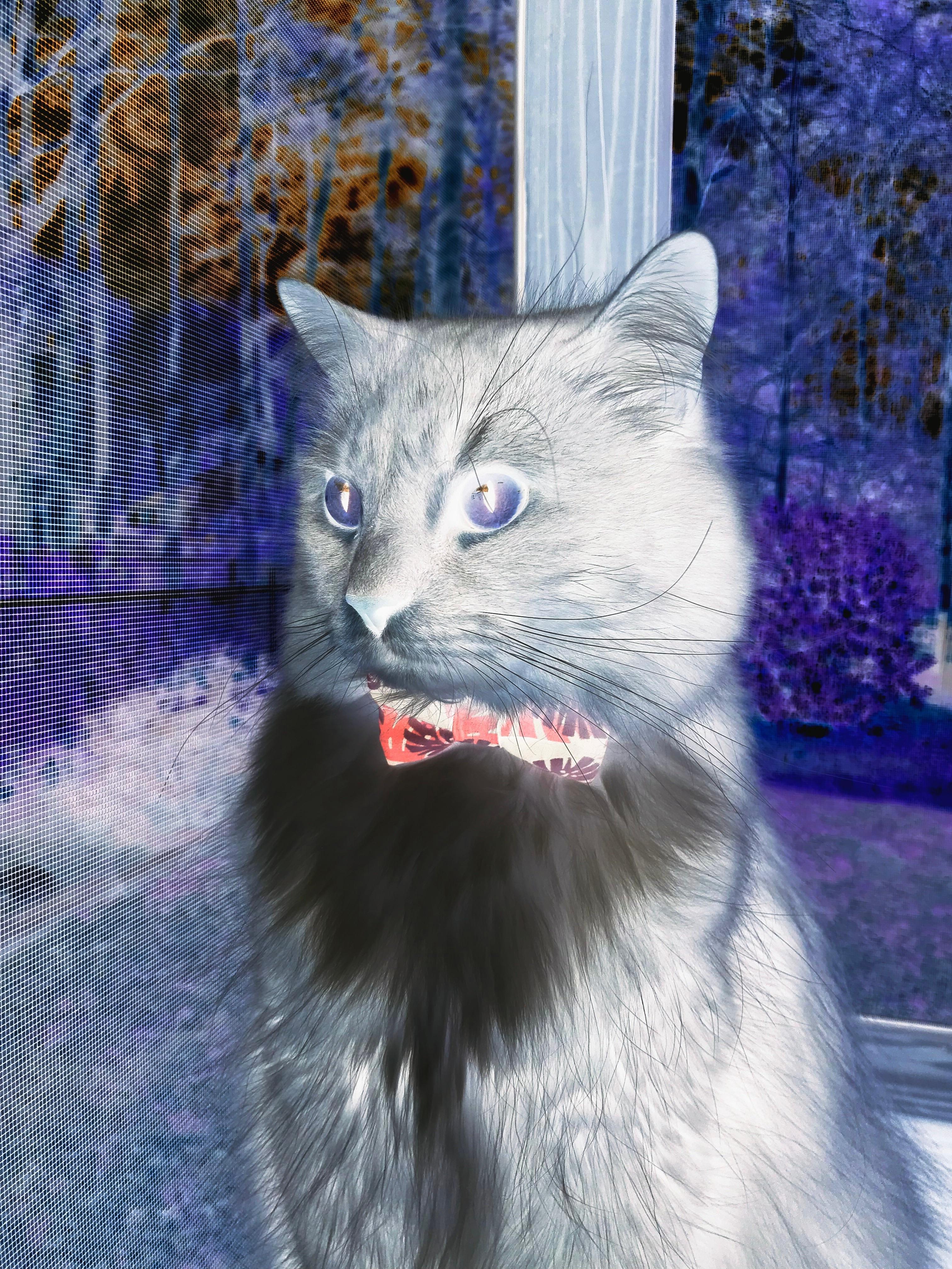 杰克·阿莱克西赛后分享备赛心得，杰克 莱西