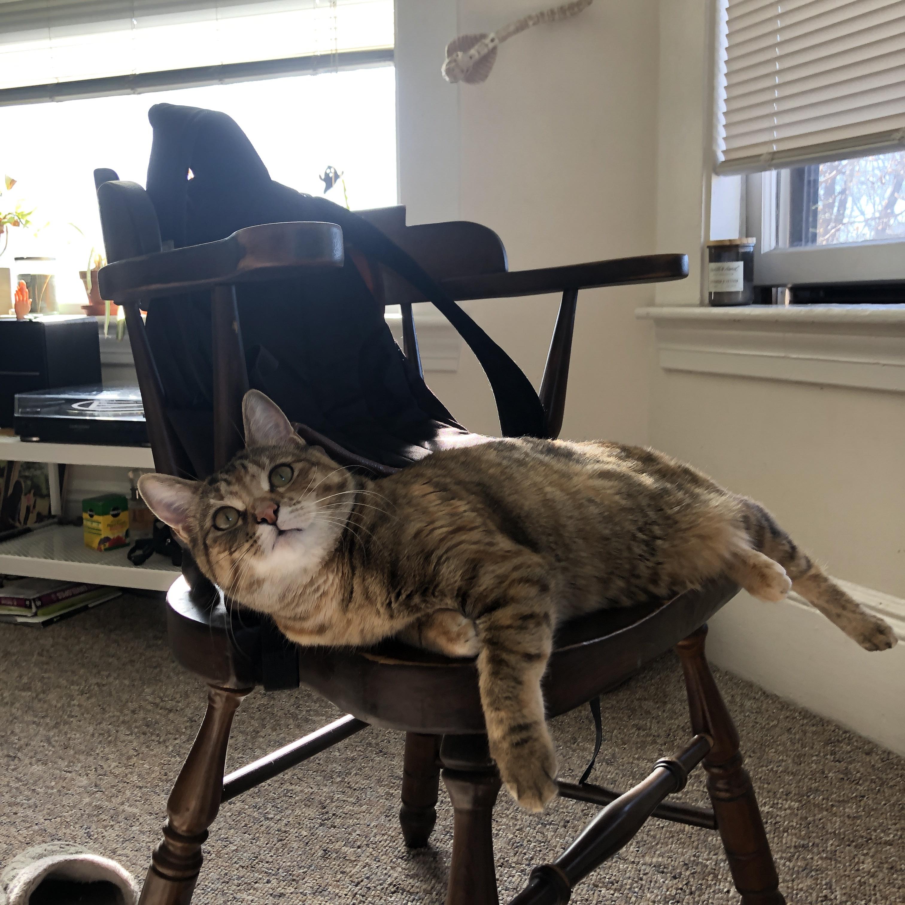 湖人推出新媒体内容扩大年轻人影响力，湖人新引进球员