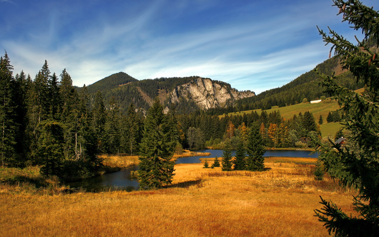 美洲杯明星纷纷亮相：拼搏、突破，点亮绿茵场，美洲杯人气