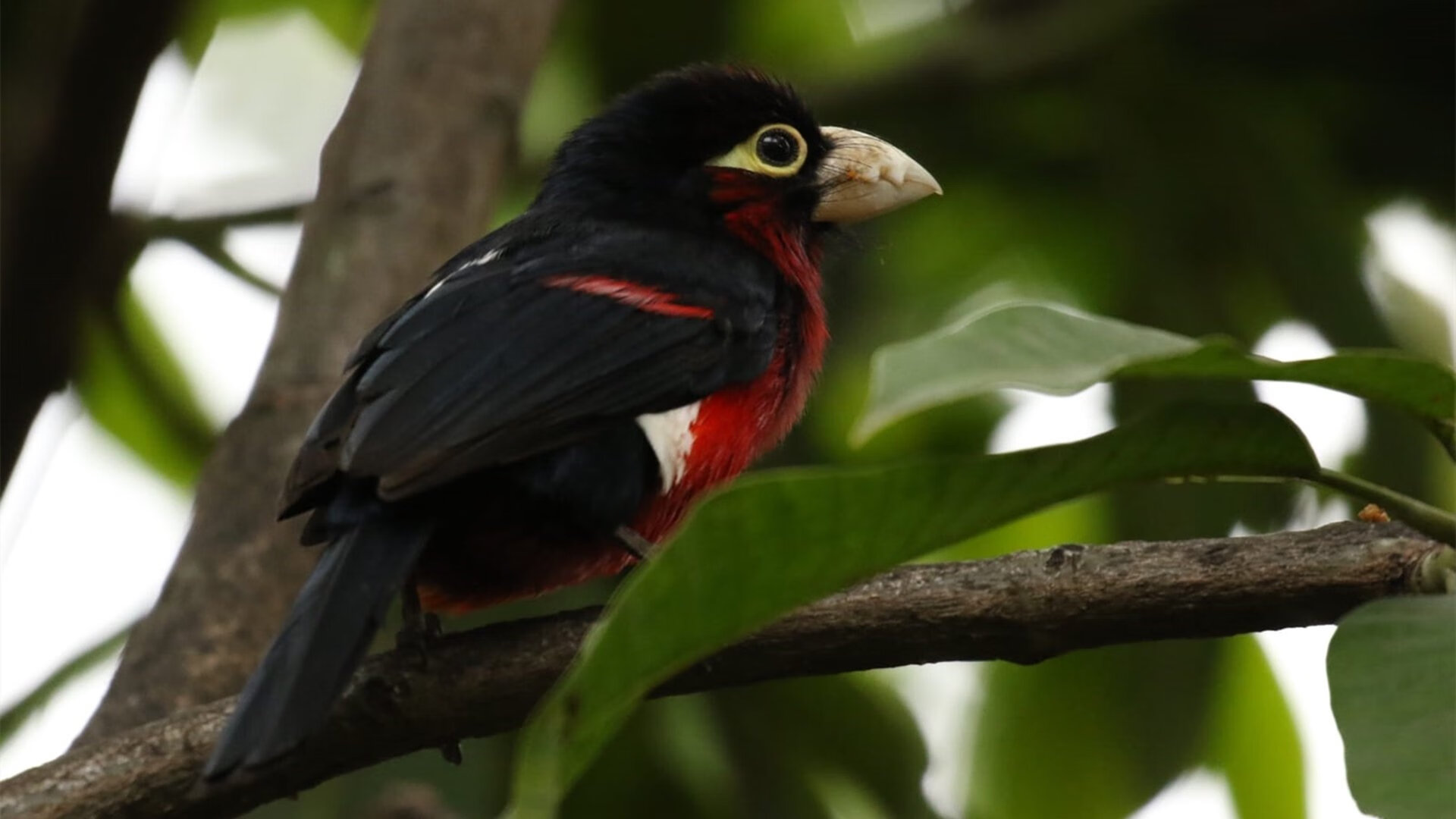 爱游戏官方-英超豪门争霸：冠军争夺激烈到最后一刻，英超豪门俱乐部