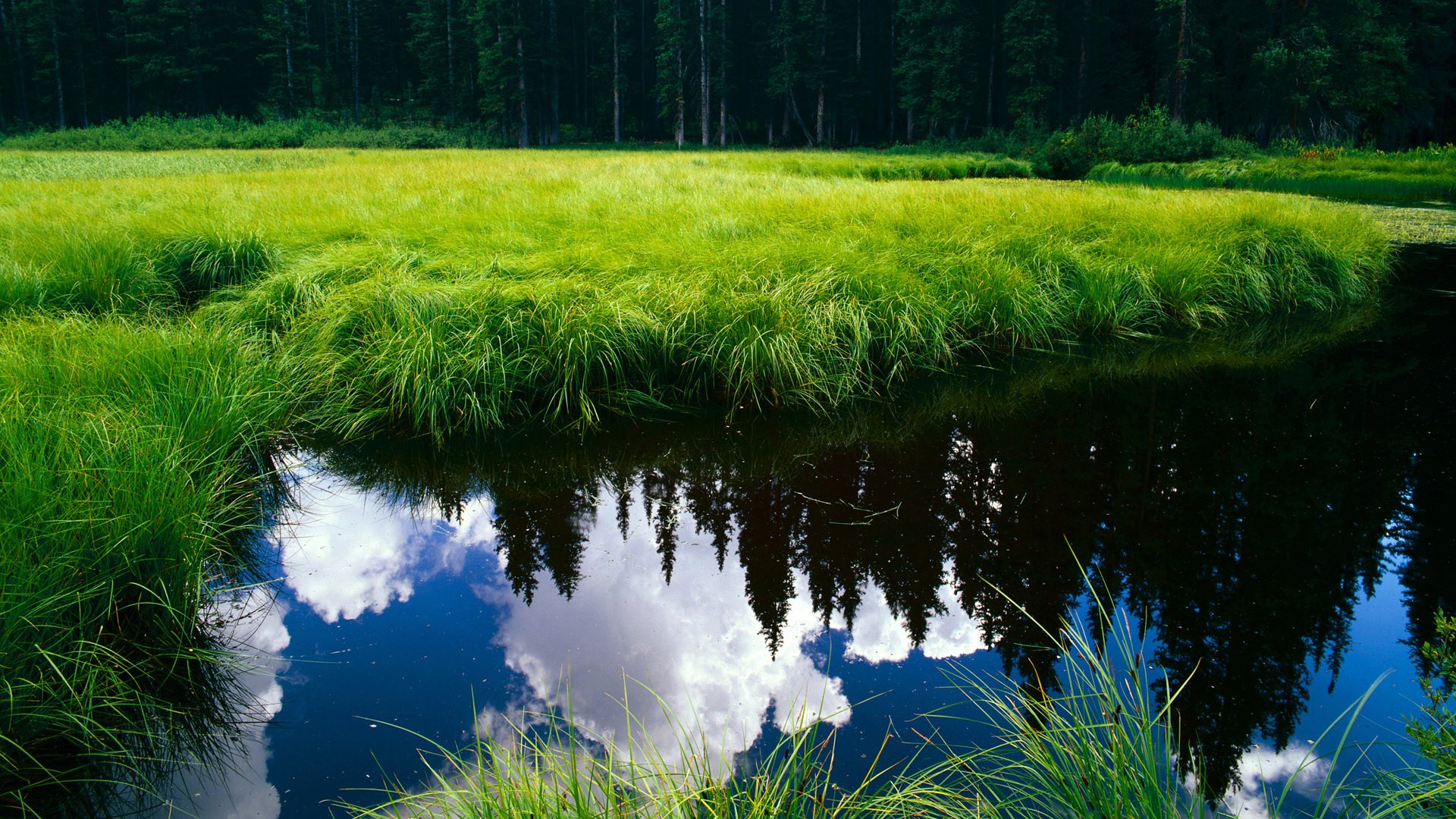 荷兰队在欧洲预赛中持续出色表现,晋级希望增强